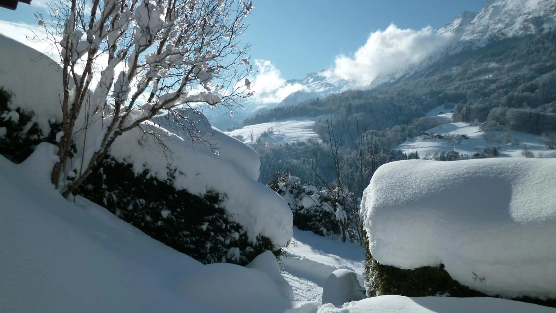 Chalet Noyer - Domaine Du Fraizier Thones France